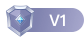 等级-LV1-蜂源首码网
